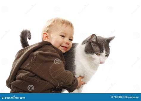 Boy and his cat stock photo. Image of love, portrait, hold - 7042380