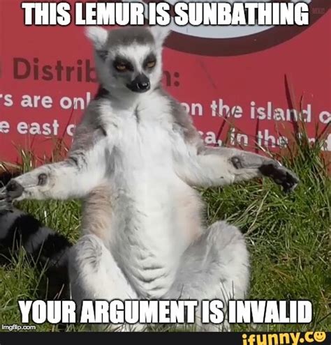 Lemur Memes