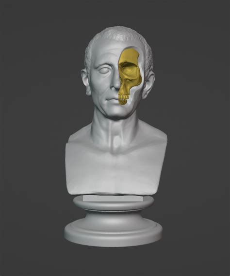 STL file Julius Caesar skull bust・3D printing template to download・Cults