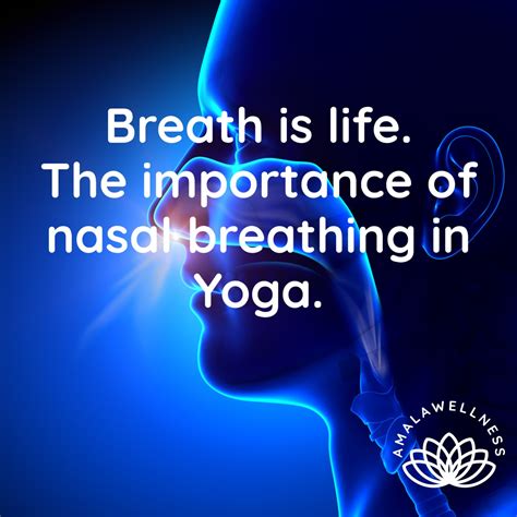 The importance of nasal breathing in yoga and meditation - AMALAwellness