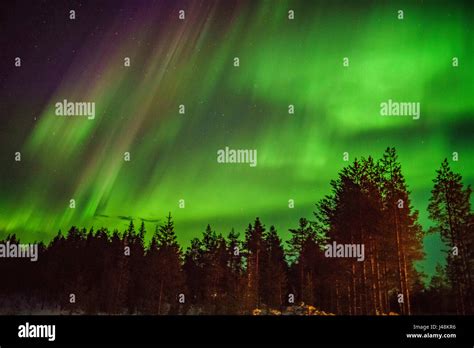 Northern Lights, Lapland, Sweden Stock Photo - Alamy