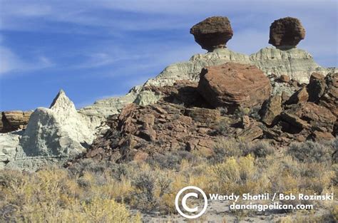 Portfolio: Red Desert Wyoming - Shattil/Rozinski Photography