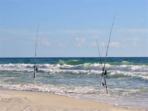 Fishing in PANAMA CITY: The Complete Guide