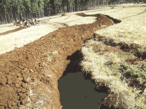 Soil and water conservation structures constructed by farmers in Debre ...