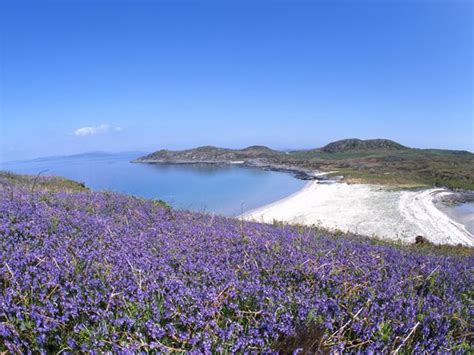 Isle of Gigha | West coast scotland, Scotland, Hebrides