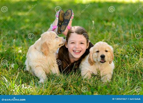 Golden Retriever Puppies and Kid Stock Image - Image of outside, domestic: 130541667