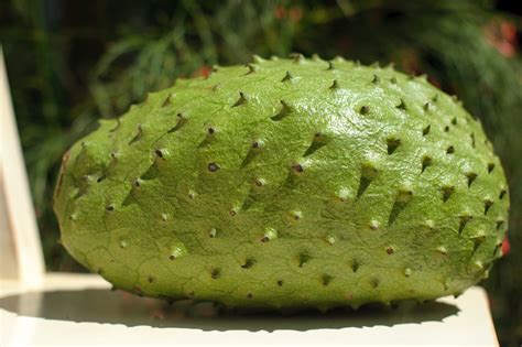 8 Health Benefits Eating Soursop you should Know | Health Benefits of Fruit