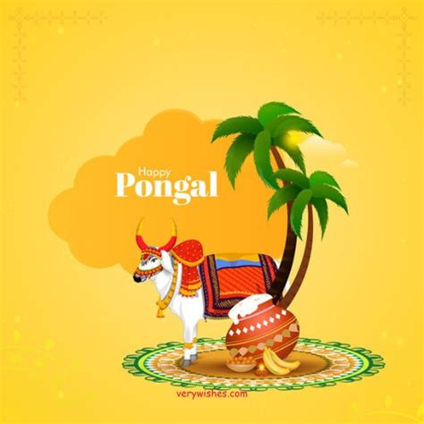 Latest Pongal Wishes Images, Photos, Wallpapers 2024 - Free Download ...