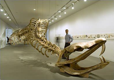 GRADseminar+20ten: Huang Ping: A 100 foot wooden snake skeleton