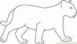 Panther Coloring Pages Printable sketch template