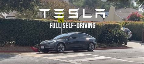 Tesla driver hits a dog, claims they were on Full Self-Driving Beta ...