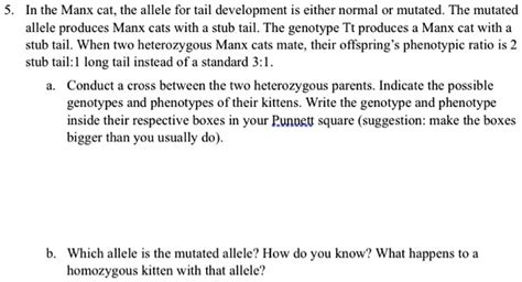 SOLVED: In the Manx cat, the allele for tail development is either ...