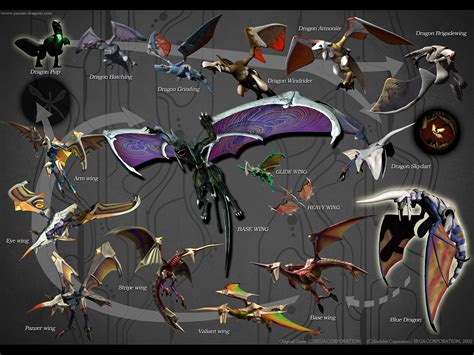 Panzer Dragoon Legacy - The Self-Evolution of the Dragon (Full Screen ...