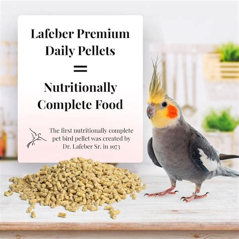 Cockatiel Pellets – Lafeber Company