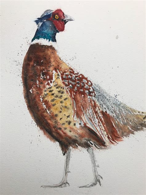 Pheasant Painting - Original Pheasant Watercolour Painting Pheasant X - 30x22 56cmx56cm