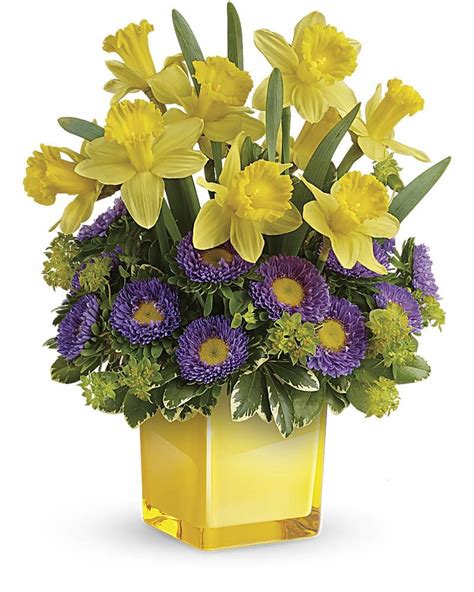 Daffodils Flower Delivery | Best Flower Site