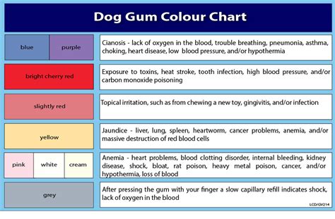 5+ Unhealthy Dog Gum Color Chart Article - CLUBCOLOR VGW