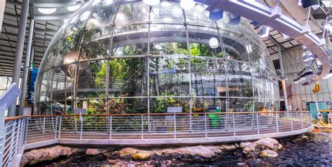 Osher Rainforest | California Academy of Sciences