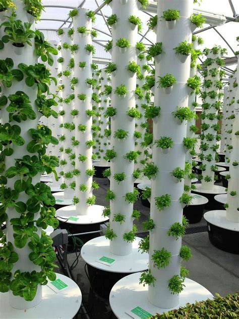 Gorgeous 30+ Vertical Hydroponics Gardening Ideas https://gardenmagz.com/30-vertical-hydroponics ...