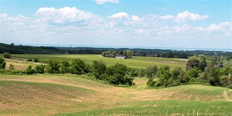 Hiking the Bruce Trail in Niagara Wine Country: From Balls Falls to Cherry Ave (Hike #11)