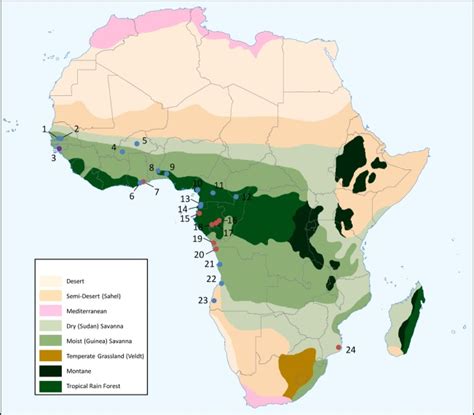 Map of Africa biomes (adapted from UNEP 2010) showing the location of... | Download Scientific ...