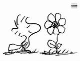 Free Printable Peanuts Coloring Pages sketch template