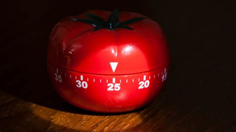 Tomato Timer: The Most Important Tool for your Gardening Success