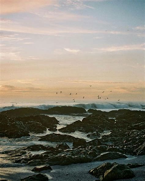 35mm film photography landscape shot on the Nikon F100 - Do you prefer 35mm or medium format ...