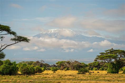 Mount Kilimanjaro from Amboseli National … – License image – 71406227 ...