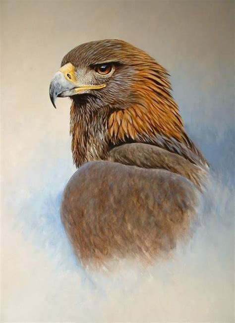 Pin by yno ab on Golden eagle | Eagle painting, Eagles, Eagle drawing