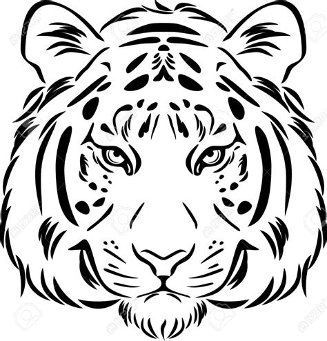 Tiger Head. Black And White Outline ... | Tiger outline, Tiger art, Tiger drawing