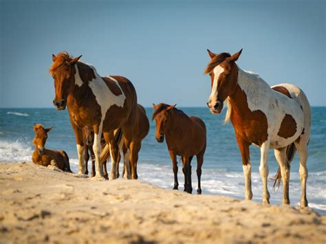 Road Trip from New York City to Virginia Beach - LazyTrips