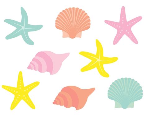 Download High Quality beach clipart seashell Transparent PNG Images ...