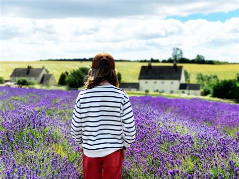 Visiting the Cotswolds Lavender Fields - The KA Edit