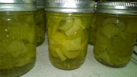 Canning Celery | Canning recipes, Canning, Celery