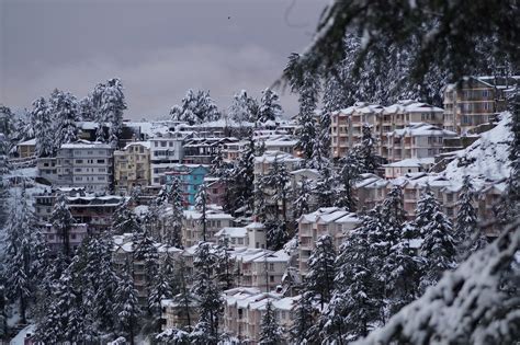 Shimla receives season’s first heavy snowfall - The News Himachal