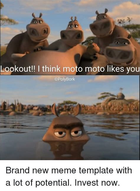 Lookout!! I Think Moto Moto Likes You PolyBork | Meme on ME.ME | Meme template, Funny memes, Memes