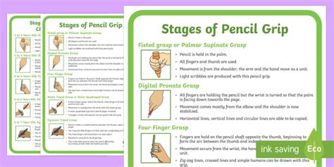 Stages of Pencil Grip Display Poster - Back to School Australia