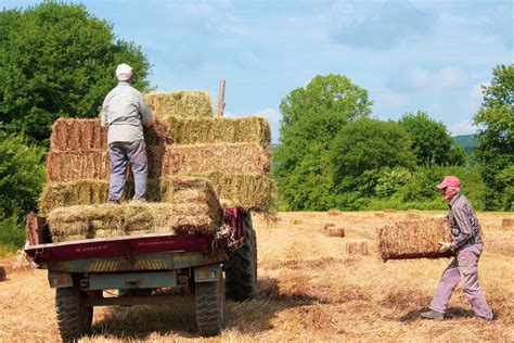 Jurusan Agroteknologi: Info, Mata Kuliah, Prospek Kerja Lengkap | Danacita