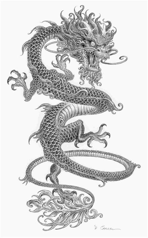 Chinese Dragon Pencil Drawings at PaintingValley.com | Explore collection of Chinese Dragon ...