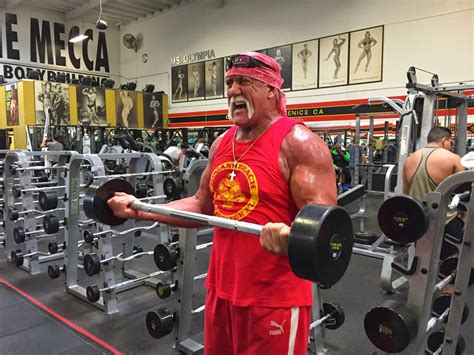 Hulk Hogan: Road To Redemption | Wrestling Forum