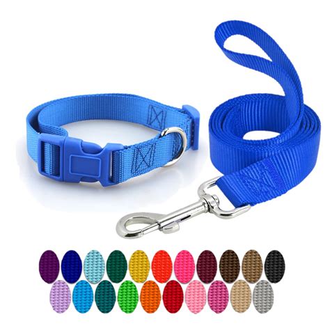 Pet Cat Collar Dog Collar with Leash Set Adjustable Safety Collar and Leash Walking | Shopee ...