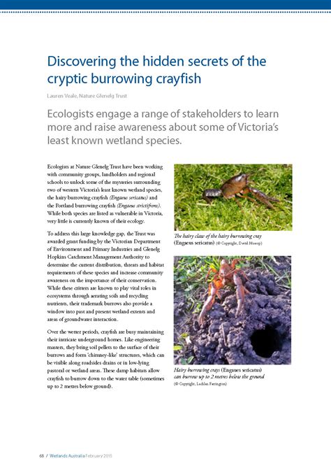 NGT articles in the latest edition of Wetlands Australia Magazine ...