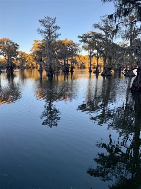 Your Weekend Guide to Canoeing Caddo Lake – It's Not Hou It's Me