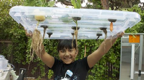 Digital Diner: Awesome Aeroponics : Workshop Weekend