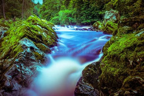 Falls of Feugh Waterfall during Salmon Run Season in Banchory Stock Image - Image of ...