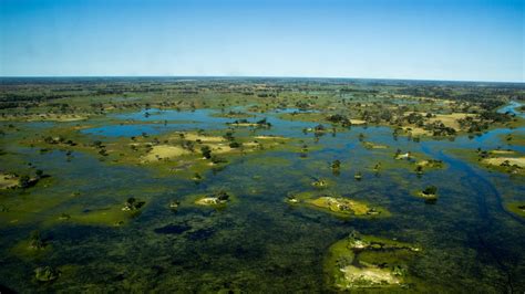 Okavango - a safari legend