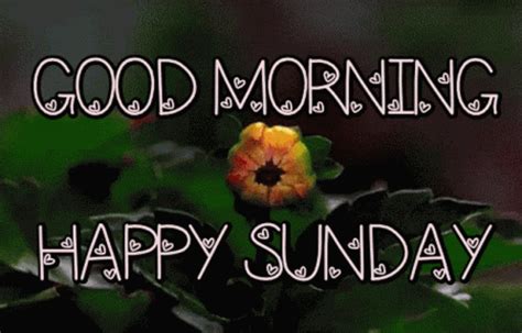 Good Morning Happy Sunday GIF - GoodMorning HappySunday Sunday ...