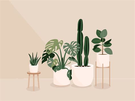 Plants | Desktop wallpaper art, Art wallpaper, Plant illustration