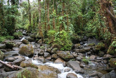 Colombia's Magnolia Reserve Expansion – Rainforest Trust